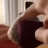 Набор стикеров CUTEHEDGEHOG_by_fStikBot 1 для Telegram