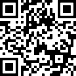 Image generated from a QR block
