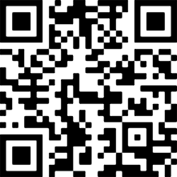 Image generated from a QR block