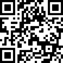 Image generated from a QR block
