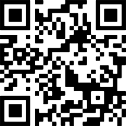 Image generated from a QR block