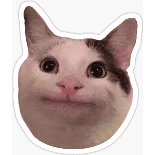 Набор стикеров Cat memes для WhatsApp 1