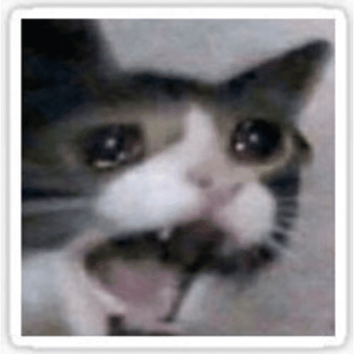 Набор стикеров Cat memes для WhatsApp 10