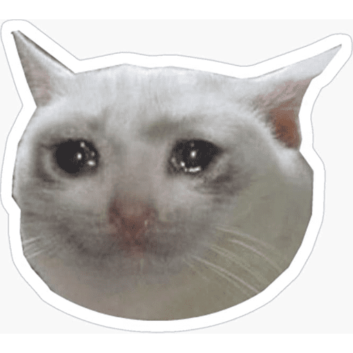 Набор стикеров Cat memes для WhatsApp 2