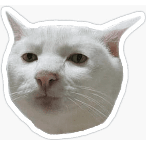 Набор стикеров Cat memes для WhatsApp 3