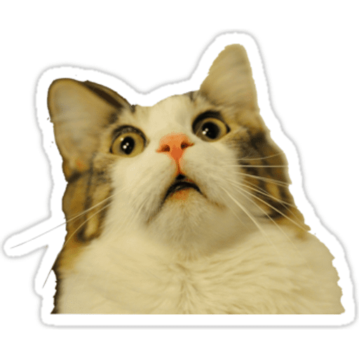 Набор стикеров Cat memes для WhatsApp 6