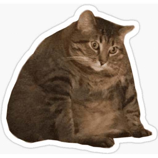 Набор стикеров Cat memes для WhatsApp 9