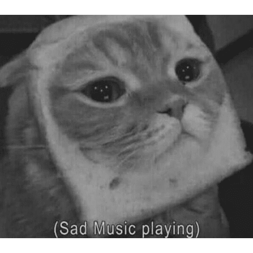 Набор стикеров Crying Cats 1 для WhatsApp 11