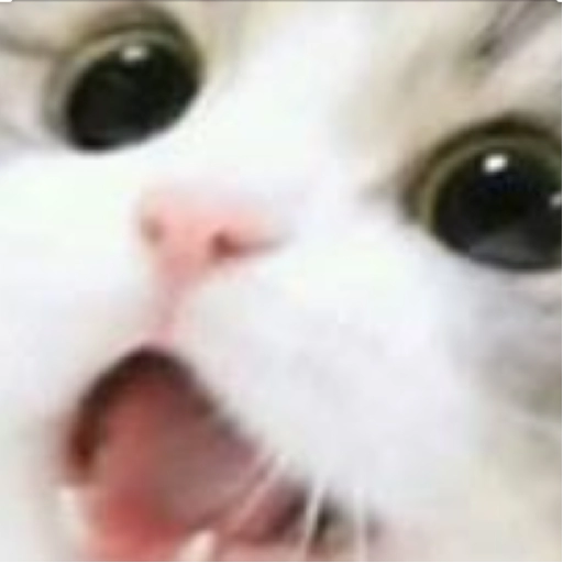 Набор стикеров Crying Cats 1 для WhatsApp 12