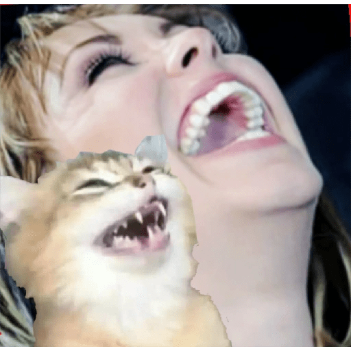 Набор стикеров Crying Cats 1 для WhatsApp 14