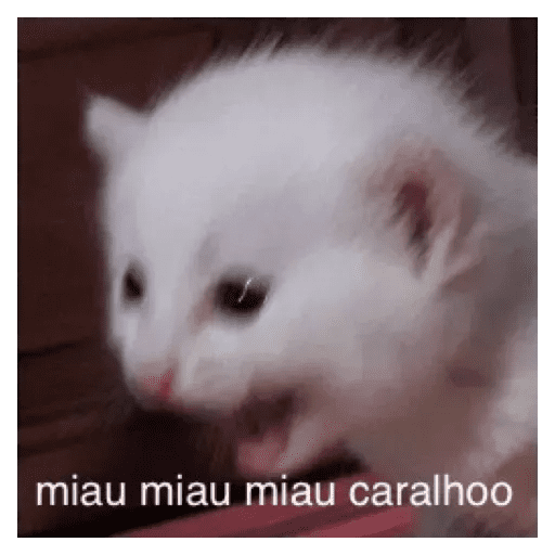 Набор стикеров Crying Cats 1 для WhatsApp 16