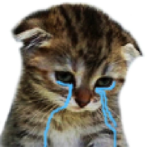 Набор стикеров Crying Cats 1 для WhatsApp 17