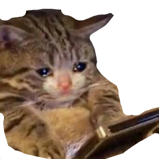 Набор стикеров Crying Cats 1 для WhatsApp 18