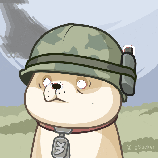 Набор стикеров Doge для WhatsApp 30