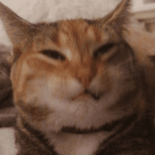 Набор стикеров Funny Cats для WhatsApp 3