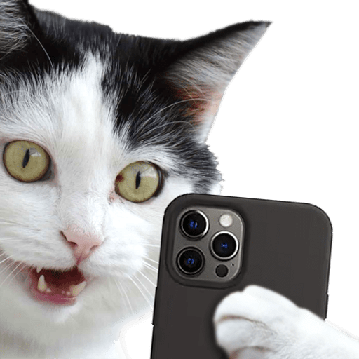 Набор стикеров Gatos y Cats для WhatsApp 1
