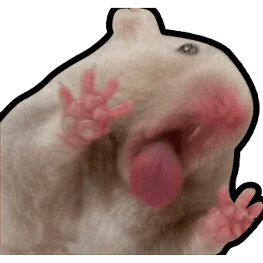 Набор стикеров Hamsters Memes для WhatsApp 1