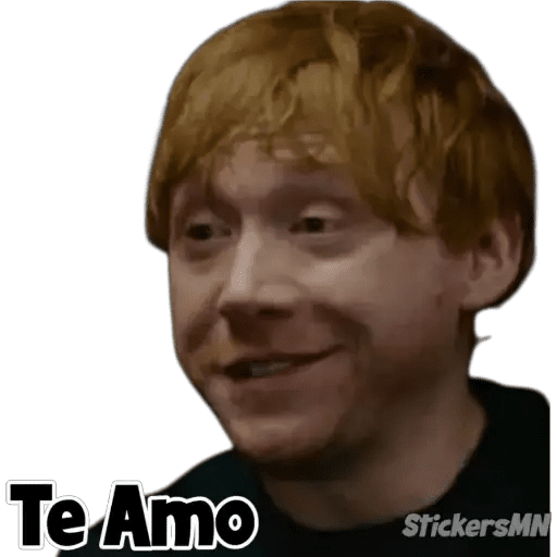 Набор стикеров HarryPotter20thAnniversary🪄💌 для WhatsApp 15