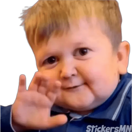 Набор стикеров Hasbulla Magomedov🤪 для WhatsApp 22