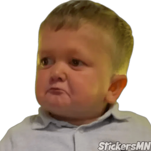 Набор стикеров Hasbulla Magomedov🤪 для WhatsApp 28