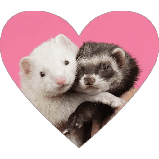 Набор стикеров hearts для WhatsApp 20