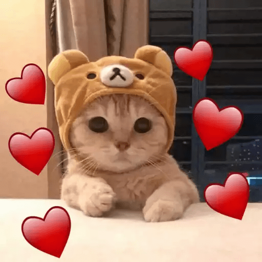 Набор стикеров hearts для WhatsApp 24