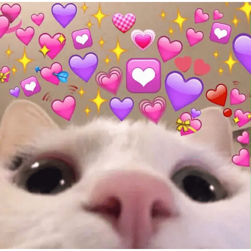 Набор стикеров hearts для WhatsApp 27