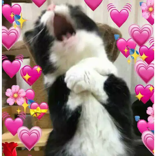 Набор стикеров hearts для WhatsApp 28