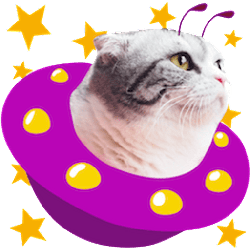 Набор стикеров meme cats для WhatsApp 10