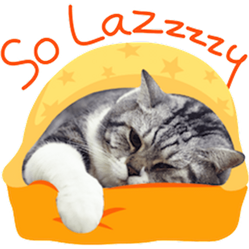 Набор стикеров meme cats для WhatsApp 12