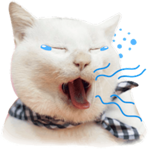 Набор стикеров meme cats для WhatsApp 14