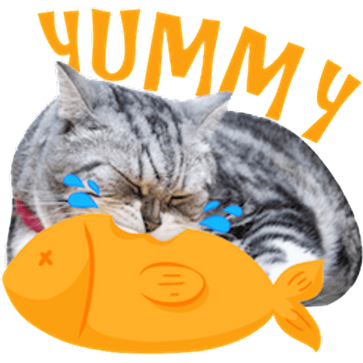 Набор стикеров meme cats для WhatsApp 18