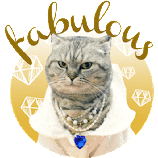 Набор стикеров meme cats для WhatsApp 2