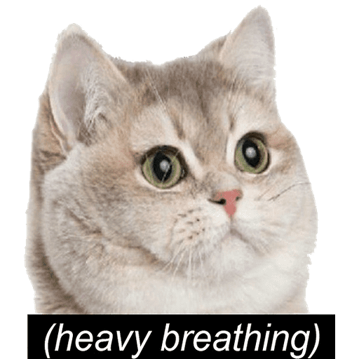 Набор стикеров meme dank для WhatsApp 13