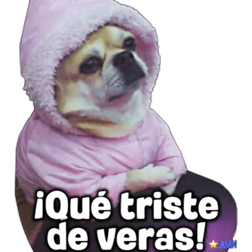 Набор стикеров Memes 2 (by Estrella AA) для WhatsApp 13