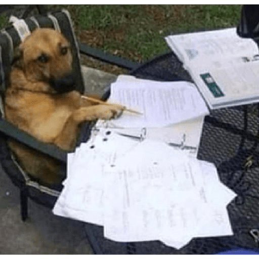 Набор стикеров Memes 2 для WhatsApp 1