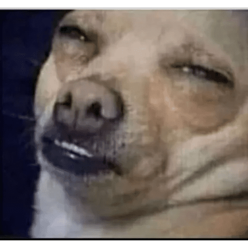 Набор стикеров Memes 2 для WhatsApp 20