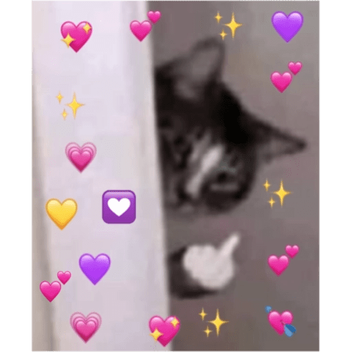 Набор стикеров Memes💛💦🐟 для WhatsApp 10