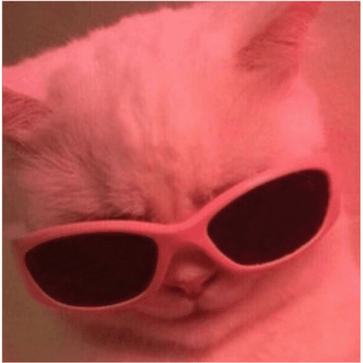 Набор стикеров Memes💛💦🐟 для WhatsApp 21