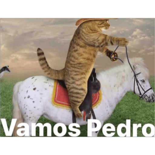 Набор стикеров Memes💛💦🐟 для WhatsApp 27