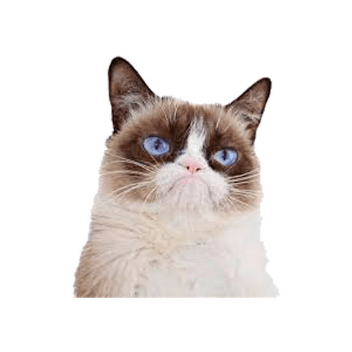 Набор стикеров Memes para WhatsApp для WhatsApp 11