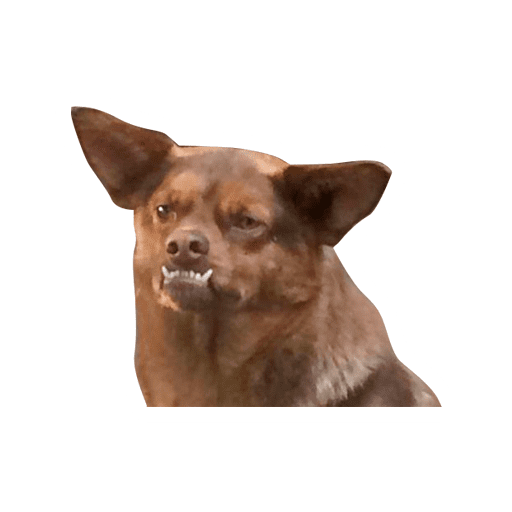 Набор стикеров Mexican Memes para WhatsApp для WhatsApp 2