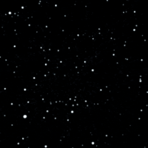 Набор стикеров Ozkar Lai'z Steakar Peck #1 для WhatsApp 26