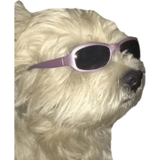 Набор стикеров Perritos для WhatsApp 1