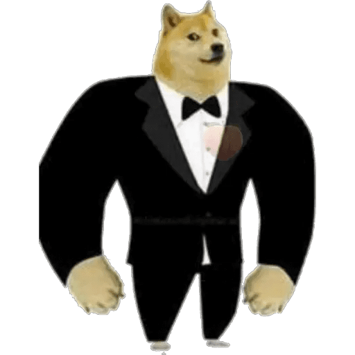 Набор стикеров Perros Memes для WhatsApp 1