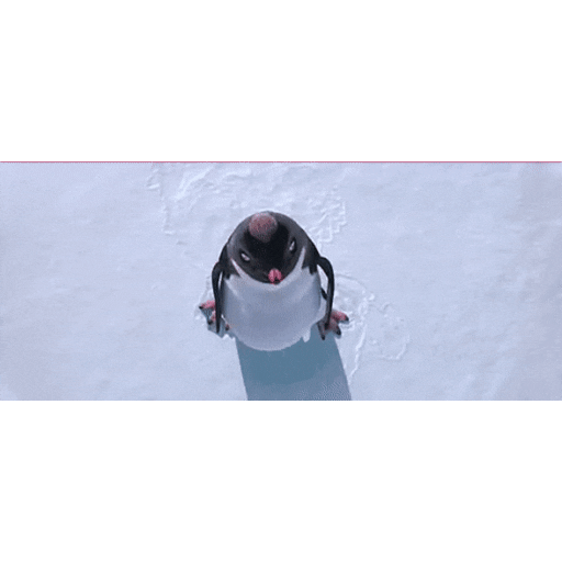 Набор стикеров PINGÜI для WhatsApp 2