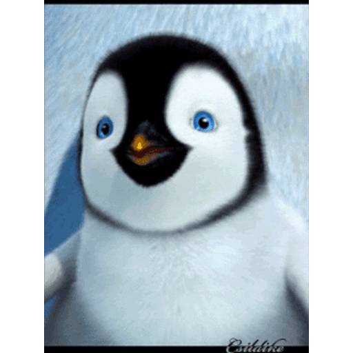 Набор стикеров PINGÜI для WhatsApp 3