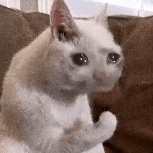 Набор стикеров Sadge Why для WhatsApp 6