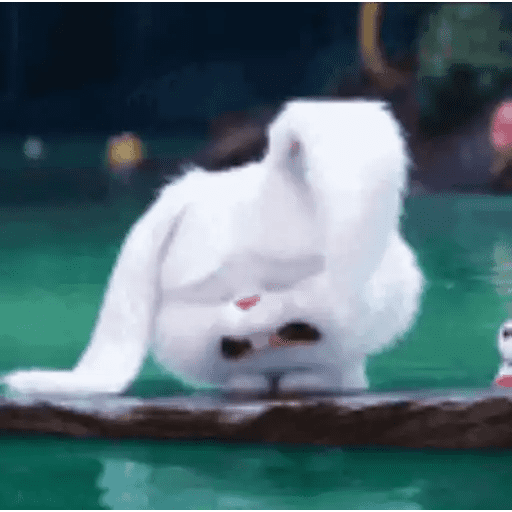 Набор стикеров Snowball Animado для WhatsApp 11