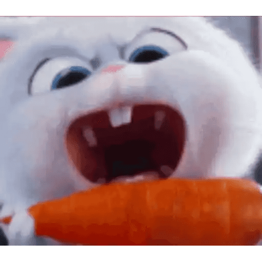 Набор стикеров Snowball Animado для WhatsApp 12